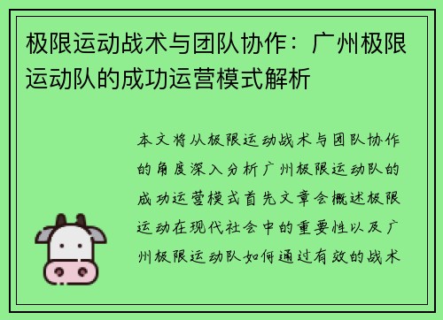 极限运动战术与团队协作：广州极限运动队的成功运营模式解析