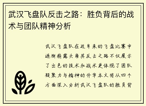 武汉飞盘队反击之路：胜负背后的战术与团队精神分析